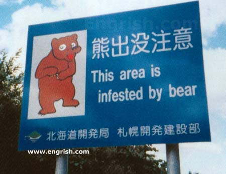 Bear-Infestation