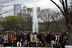 Cherry-Blossoms-2007-Yoyogi-Park-Tokyo-002.jpg